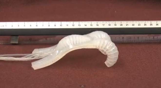 multigait soft robot