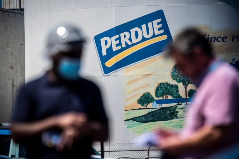 Perdue Chicken Falls Prey To Backlash Over Senator's Racist Mocking Of Harris' Name