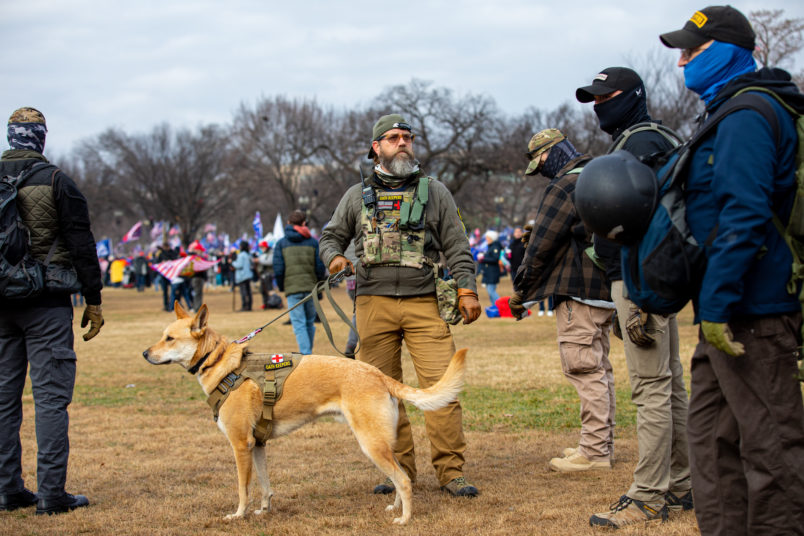 Latest Oath Keeper Arrested Brought 82-Pound German Shepherd Into Capitol, According To Indictment - Vimarsana News